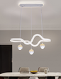 Luminous Curve Pendant light 21