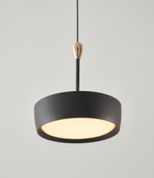 Single Pendant BLK 67